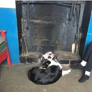 Meet your Posher, Bridget